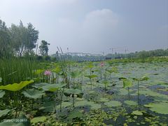 -长春北湖公园