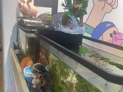 -艺塔木美学教育(和达校区)