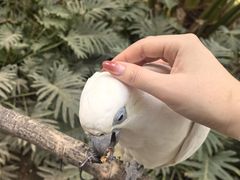 -南宫五洲植物乐园