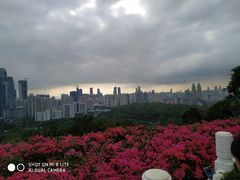 -连城·新天地(福华一路店)
