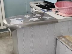 -纳吉亚猫专科动物医院·北北分院