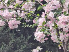 -东升八家郊野公园