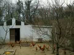 android_upload_pic-我家农庄