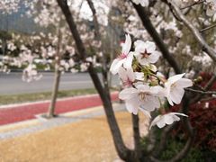-砂之船奥莱(南京江宁店)