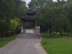 -梁鸿国家湿地公园