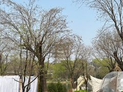 -Supine Bistro溯泮餐厅