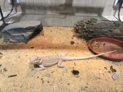 -Moni星球萌宠·小马宝莉·灵蛇·高端高阶全萌宠互动体验俱乐部(红豆国际广场店)