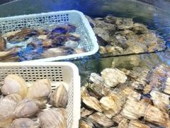 -珍宝轩海鲜火锅(碧湖大厦店)