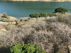 -广州市流溪河国家森林公园