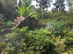 -LOOK儿童摄影(东城汇店)