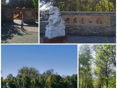 -老君堂公园