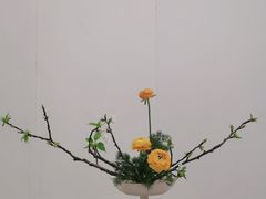 -今日陶艺(富力广场店)