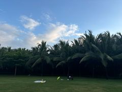 -三亚海棠湾喜来登度假酒店