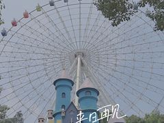 -温州乐园
