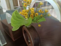 -铂诗玥医美
