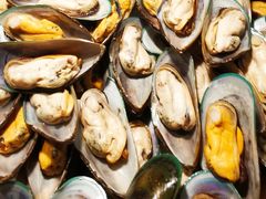 -清水湾3号(东方小周海鲜店)