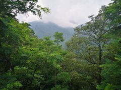 -牛背梁国家森林公园