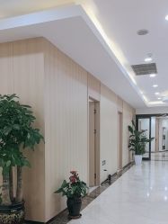 -上海伊莱美医疗美容医院