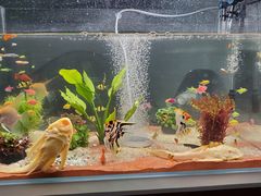 -华声天桥民俗文化园