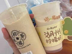 -猫的魔法密林(衣裳街店)
