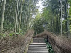 -东明山森林公园