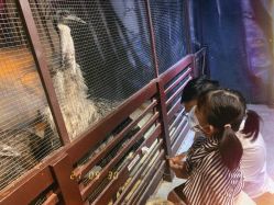 -酷嗒动物文化乐园(cutezoo西溪乐天城店)