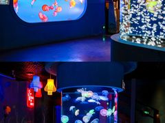 -太平洋海底世界