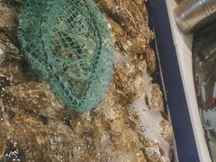 -海天盛宴新派海鲜自助餐厅(群力店)
