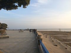 -合肥滨湖国家森林公园