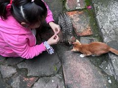 -老屋咖啡