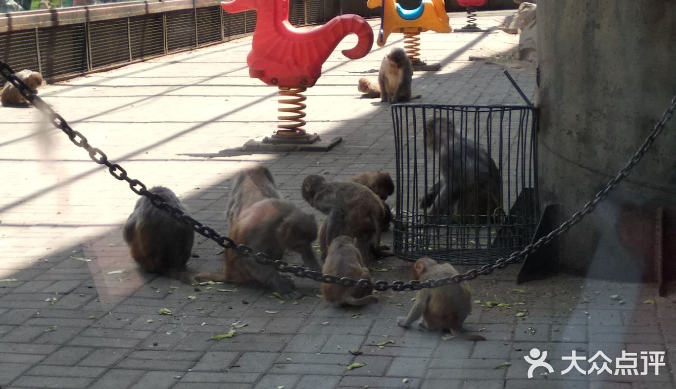 (位置)北京動物園位於西城區西直門外大礁63