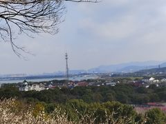 -香雪海