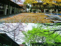 -喜洲吧·江畔老船厂·庭院餐厅(喜临院店)