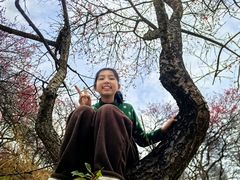 -新建村梅花