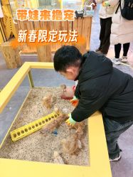 -神奇动物撸宠馆·羊驼·小浣熊·异宠(豫园店)