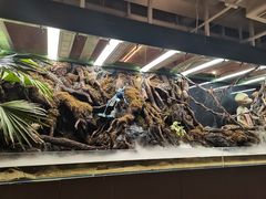 -西安电影制片厂