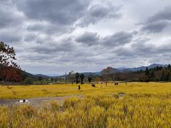 -塔川景区
