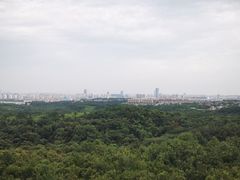 -南京老山国家森林公园
