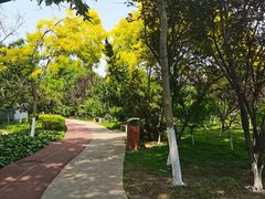 -绿岛公园(滨海新区)