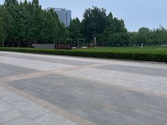 -大望京公园