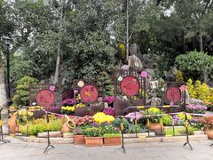 -莲湖公园