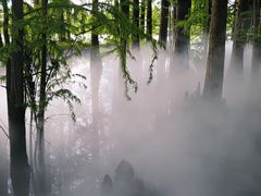 -东湖落雁景区