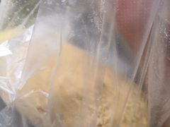 糯米团-临江门糯米团
