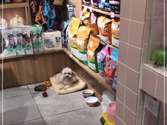 -FAELING PETS美天灵宠物(富力广场店)