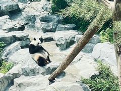 -宁波野生动物园