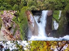 -黑河国家森林公园