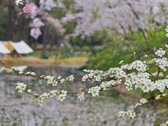 -东湖生态旅游风景区