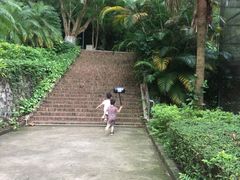 -广东茂名森林公园