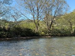 -九曲溪竹筏码头