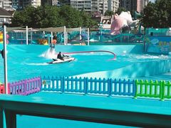 -海合安成都极地海洋公园
